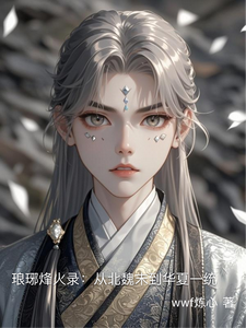 琅琊烽火录：从北魏末到华夏一统