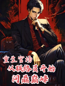 重生官场：从联络员开始问鼎巅峰