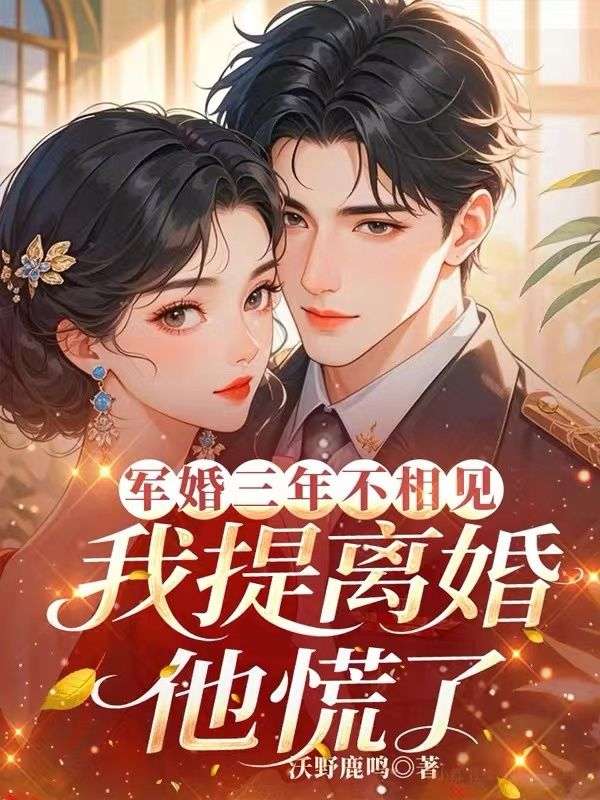 军婚三年不相见，我提离婚他慌了
