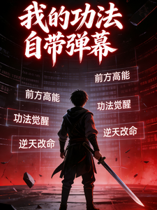 我的功法自带弹幕