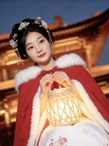 且看我如何风华绝代