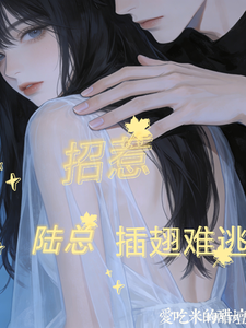 招惹陆总，插翅难逃