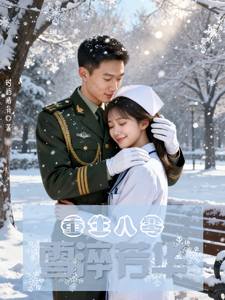 重生八零：雪淬芳华