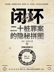 闭环：二十桩罪案的隐秘拼图