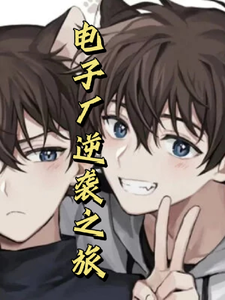 电子厂逆袭之旅